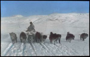 Image: E-took-a-shoo and his team [Dog Team in Action, North Greenland]